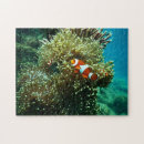 Buscar náuticos puzzles General y unisex