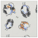 Buscar pomeranians Perros