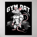 Buscar rata posters 2 º gimnasia