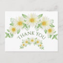 Buscar margaritas blancas tarjetas Para todos