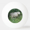Buscar ovejas pelotas de ping pong Adorable