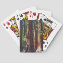 Buscar tronco barajas de cartas Árbol