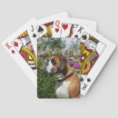 Buscar sacudida barajas de cartas Sacudida y pam langrish