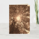 Buscar de la esperanza tarjetas Simpatía