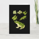 Buscar biología tarjetas Animales