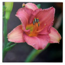 Buscar imagen floral azulejos Naturaleza