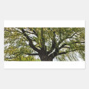 Buscar verde amarillo rectangulares pegatinas Naturaleza