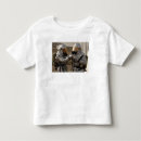 Buscar iraquí camisetas Equipo