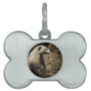 Buscar fauna collares Naturaleza