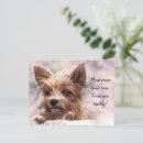 Buscar perro triste postales Que le falta