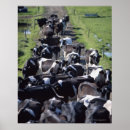 Buscar del producto posters Vertical