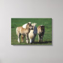 Buscar miniaturas lienzos Caballo