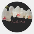 Buscar orquídeas blancas pegatinas Monograma