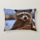Buscar raccoon cojines Adorable