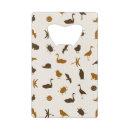 Buscar pájaro abrebotellas Insecto