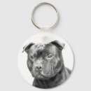 Buscar staffordshire bull terrier llaveros Staffy