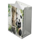 Buscar panda Oso panda