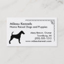 Buscar fox terrier Canino
