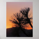 Buscar sol posters California