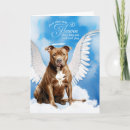 Buscar pitbull pet General y unisex