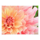 Buscar plancha posters Flores