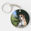 Buscar perro de roca llaveros Foto