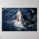 Buscar boca abierta posters Animal