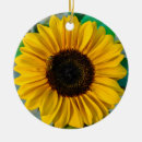 Buscar girasoles adornos General y unisex