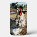 Buscar aves corral iphone fundas Pollo