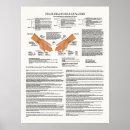 Buscar medicina china posters Acupuntura