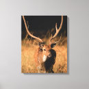 Buscar baobab arte Bosque