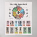 Buscar medicina china posters Meridiano