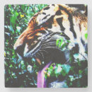 Buscar tiger posavasos Montaña rusa