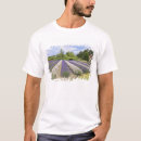 Buscar lavanda de la camisetas Púrpura