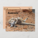 Buscar canguros postales Australia
