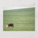 Buscar bebidas postales Longitud completa