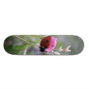 Buscar mariquitas tablas de skate Insecto
