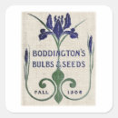 Buscar semilla manualidades Flor