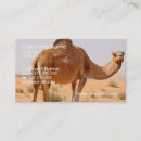 Buscar camello tarjetas de visita Animal