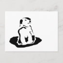 Buscar veterinarios postales Para mascotas