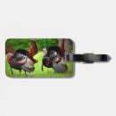 Buscar el apuntalar Fauna