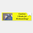 Buscar el birdwatching pegatinas parachoque Naturaleza