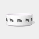 Buscar ursus americanus Bosque