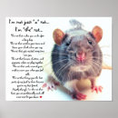 Buscar ratas posters Lindo