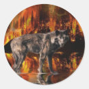 Buscar fuego y llamas postales Vida silvestre