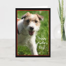 Buscar jack russell terrier tarjetas Perro