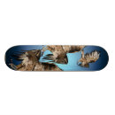 Buscar halcón tablas de skate Halcones