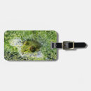 Buscar rana accesorios Fauna