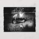 Buscar cabras postales Granja