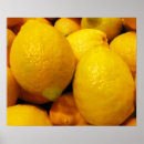 Buscar fruta fresca posters Limón